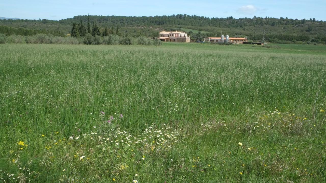 La Masia De Montpedros Peralada Exterior foto